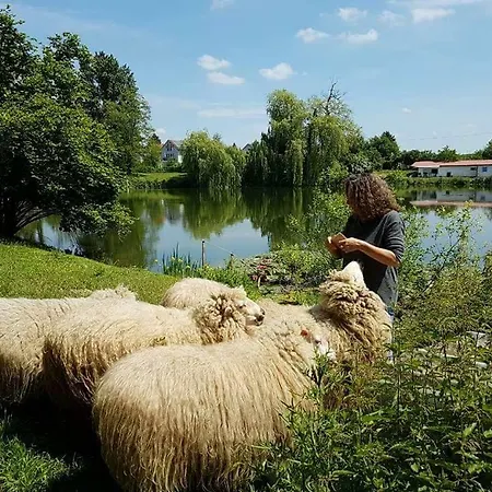 Ferienwohnung Karlsruhe *